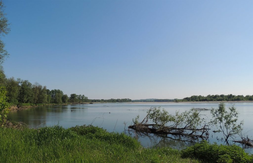 Area naturale