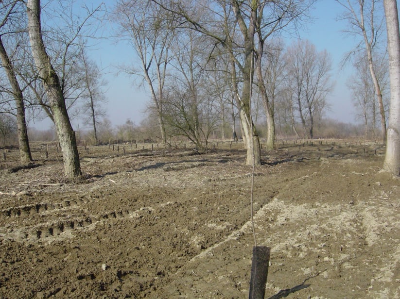 tractor track 1